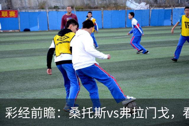 彩经前瞻：桑托斯vs弗拉门戈，看好客队不败而归